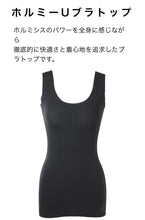 画像をギャラリービューアに読み込む, ホルミシスブラトップ